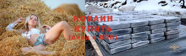 сатива Мегион