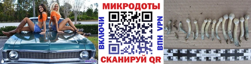 Псилоцибиновые грибы мухоморы Новодвинск