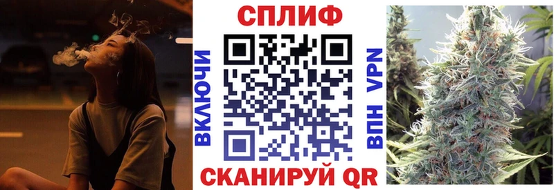 Канабис семена  где купить наркоту  Новодвинск 
